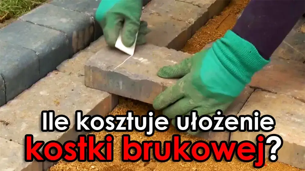 Ile kosztuje układanie kostki z podbudową? Ceny, rodzaje i ukryte wydatki