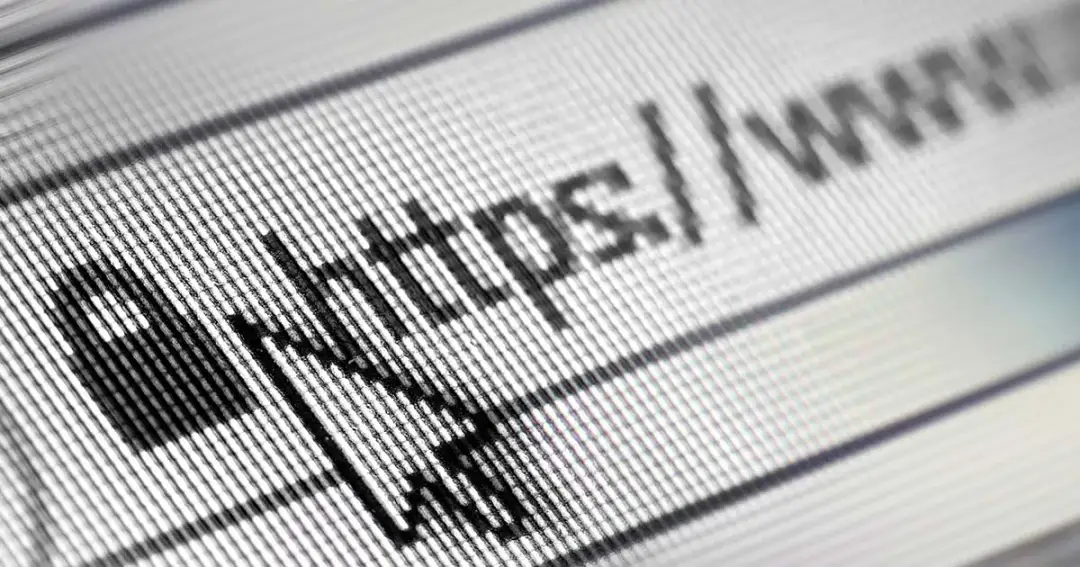 Gdzie znajduje się nazwa domeny strony internetowej w URL? Zobacz!