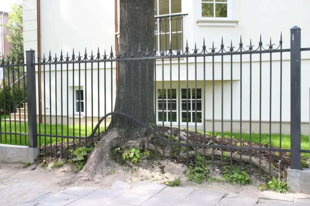 Najtańsze ogrodzenie – porównanie kosztów i najlepsze opcje dla Ciebie