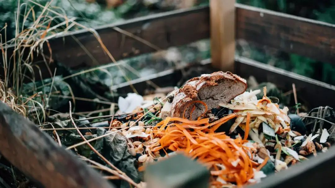 Czy do kompostu można wrzucać chleb? Zasady i skutki kompostowania.