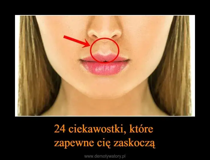 Czy wiesz, że... Niesamowite ciekawostki, które Cię zaskoczą!