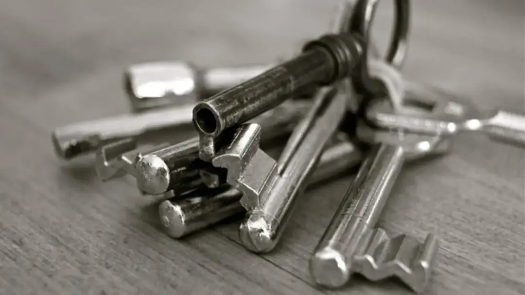 Jak nawiązać współpracę z deweloperem i zbudować trwałe relacje