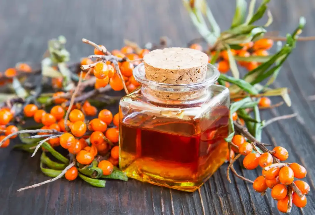 Olejek z rokitnika na co pomaga – odkryj jego niezwykłe właściwości