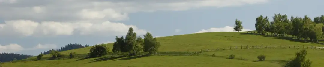 Jak znaleźć zmarłego na cmentarzu Wałbrzych - łatwe sposoby na lokalizację grobu