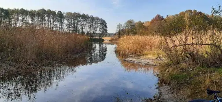 Trasy rowerowe Bydgoszcz – odkryj najpiękniejsze szlaki i widoki