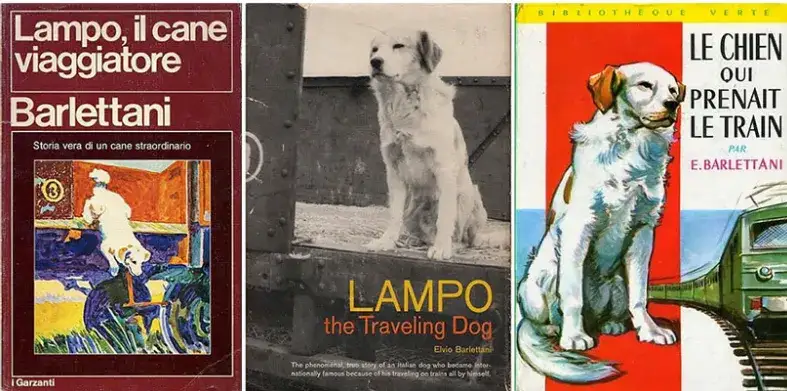 Poznaj autora książki o psie który jeździł koleją - Roman Pisarski i jego dzieło