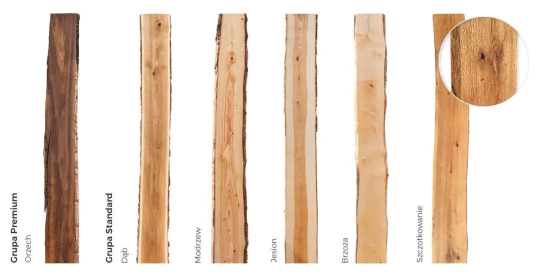 Jakie drewno na meble - najlepsze gatunki i ich tajemnice, które musisz znać