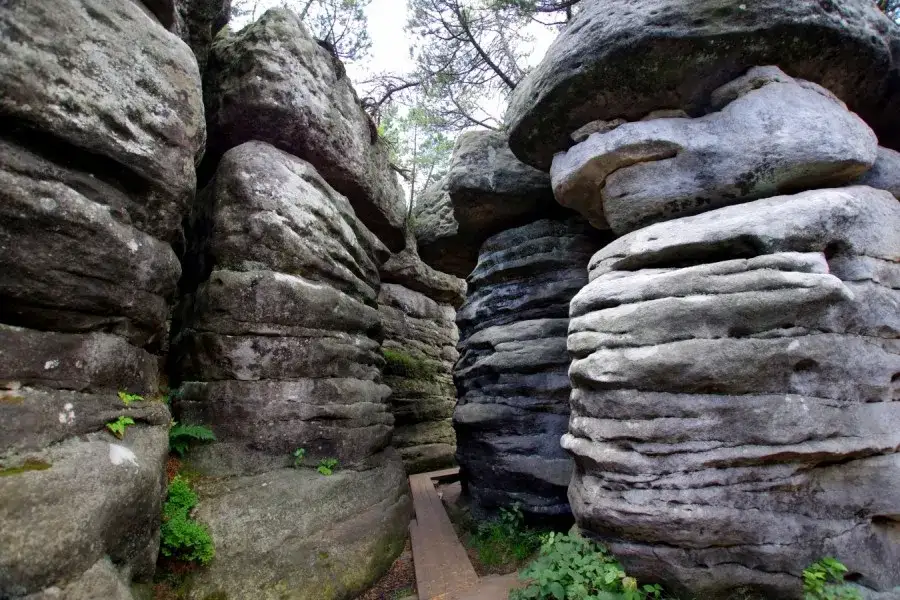 Odważysz się zgubić w Błędnych Skałach? Przygoda gwarantowana!