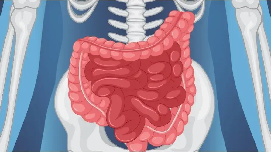 Czy rak jelita grubego jest dziedziczny? Sprawdź ryzyko w rodzinie
