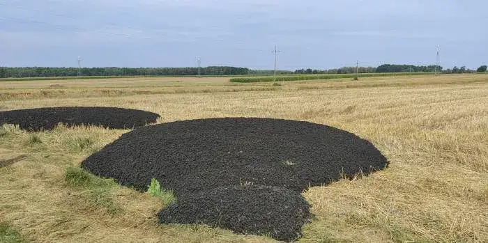 Osad z oczyszczalni na pole: prawne zasady i bezpieczne stosowanie nawozów