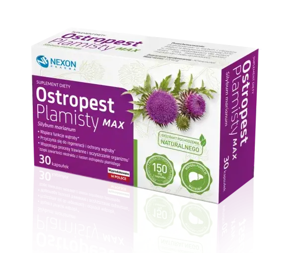 Czy ostropest obniża cholesterol? Fakty, badania i skuteczność