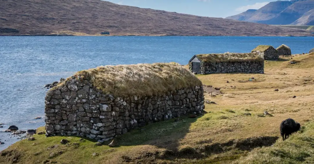 Ewangelia Łukasza 15: Co oznacza przypowieść o zagubionej owcy?