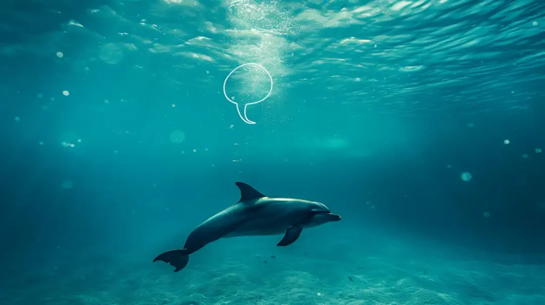 Delfin we śnie - poznaj jego znaczenie według sennika