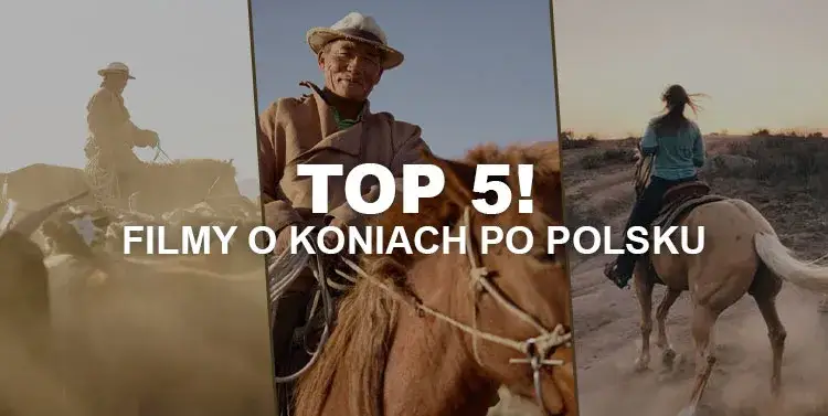 Filmy o koniach po polsku, które musisz zobaczyć - emocje i przygody