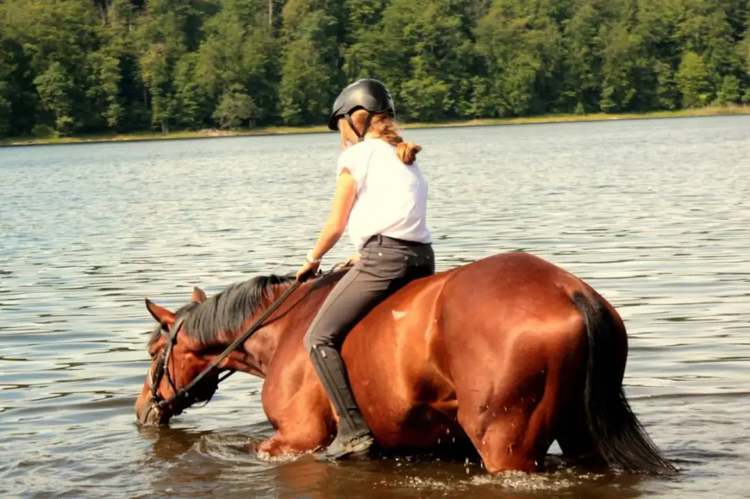 Ośrodek jeździectwa i rekreacji Urok - idealne miejsce na wypoczynek