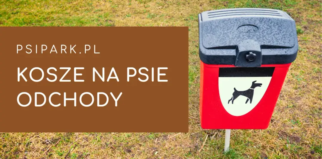 Gdzie wyrzucić psie odchody? Właściwe sposoby i unikaj błędów!