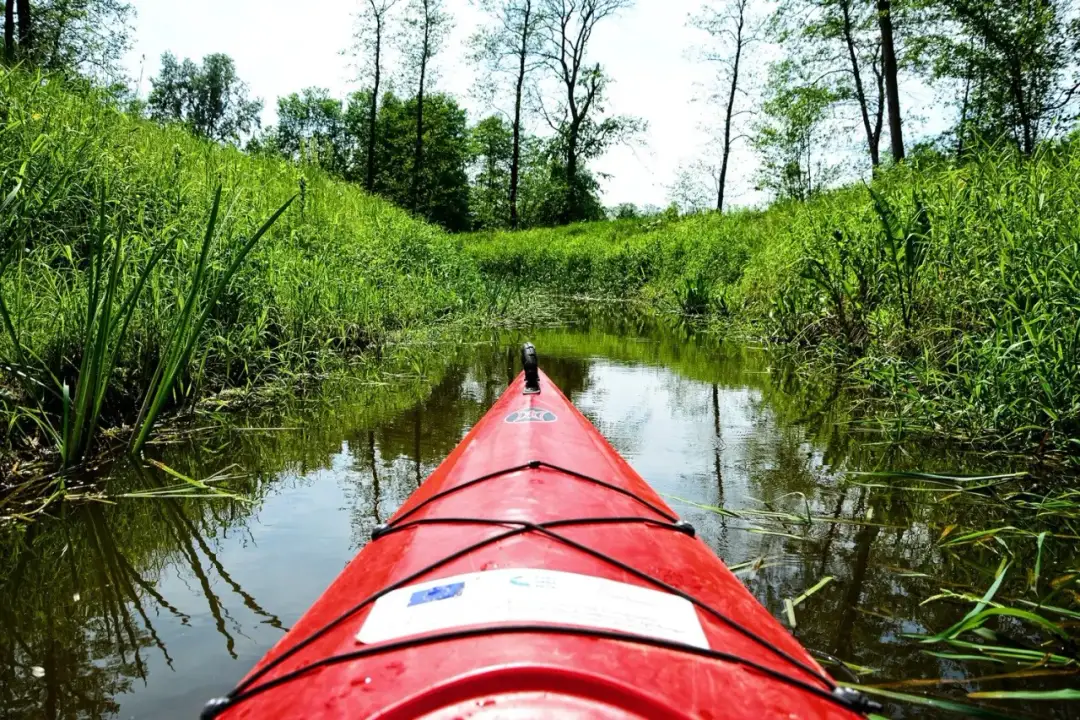 Najlepsze miejsca na kajaki w Mazowieckiem - odkryj ukryte trasy