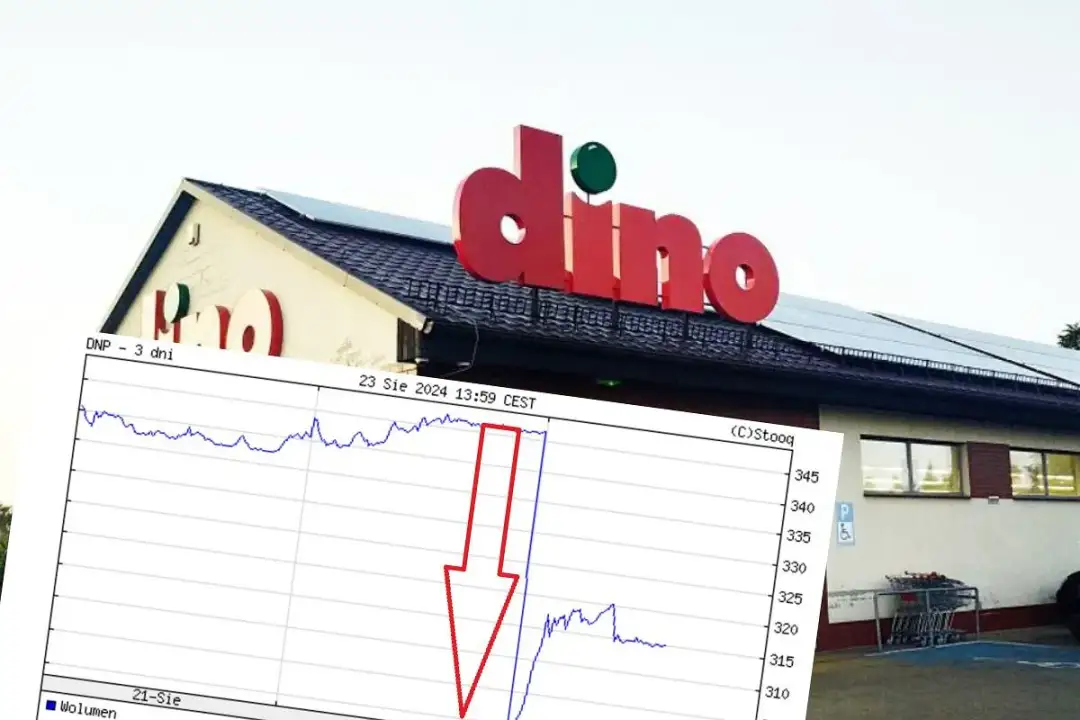 Dino Relacje Inwestorskie: Klucz do Sukcesu na Giełdzie