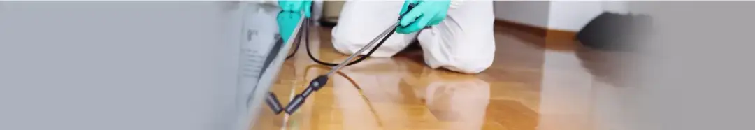 Kto przeprowadza dezynfekcję? Poznaj odpowiedzialne osoby i firmy