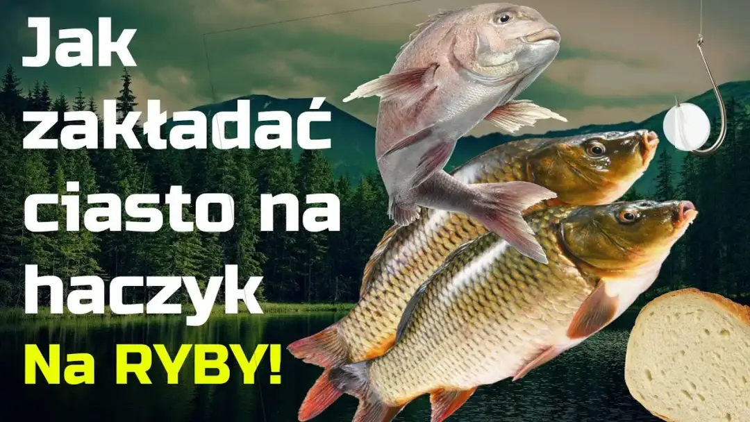 Jak zakładać ciasto na haczyk, aby skutecznie łowić ryby
