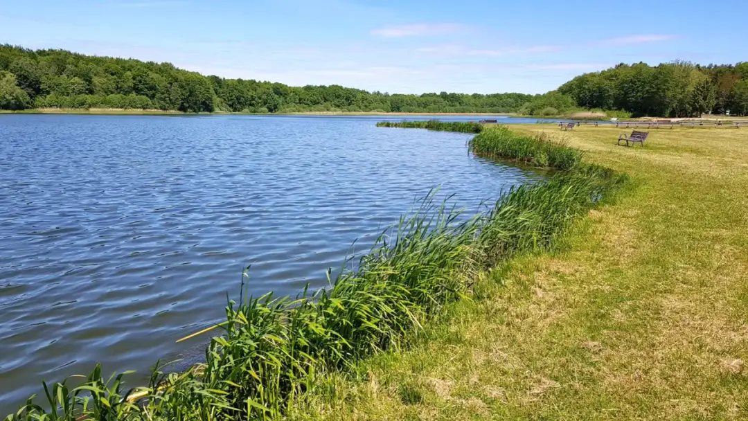 Jezioro Ostrowieckie - co musisz wiedzieć przed pierwszą wizytą w 2025