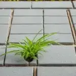 Jaki beton pod kostkę wybrać, aby uniknąć błędów i zapewnić trwałość nawierzchni?