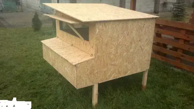 Jak prawidłowo zbudować kurnik z płyt OSB: skuteczna instrukcja budowy