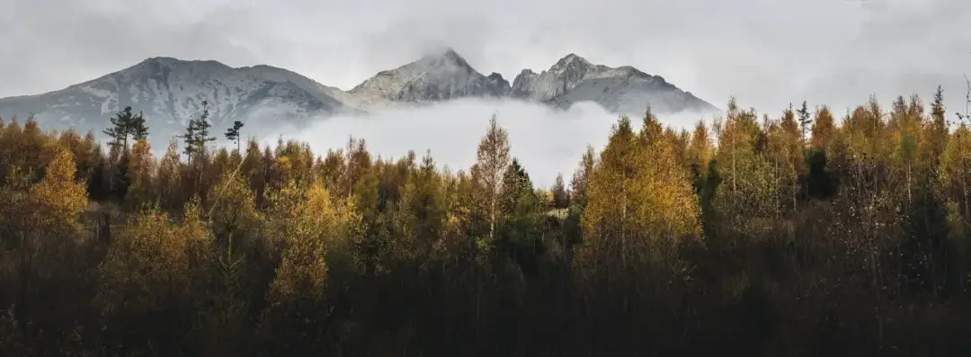 Gdzie sprawdzić pogodę w górach, aby uniknąć niebezpieczeństw w trakcie wyprawy