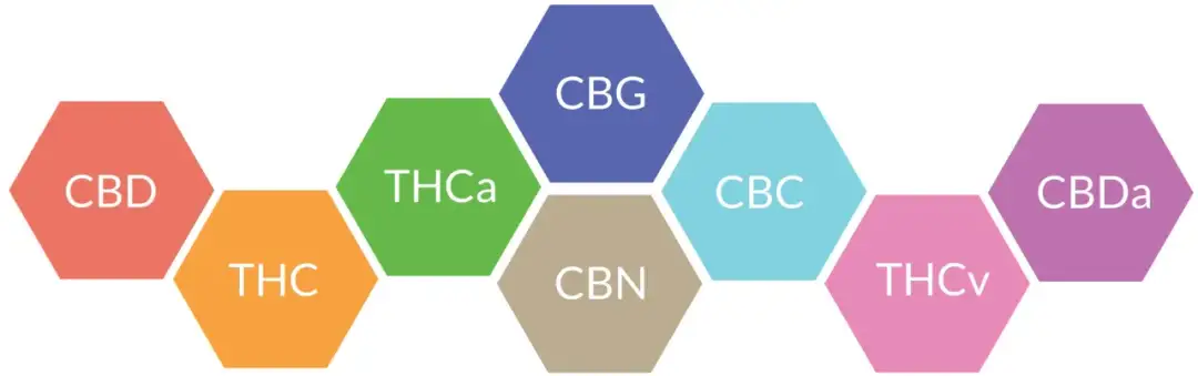 Jak stosować pyłek konopny CBD? Poznaj skuteczne metody i dawkowanie