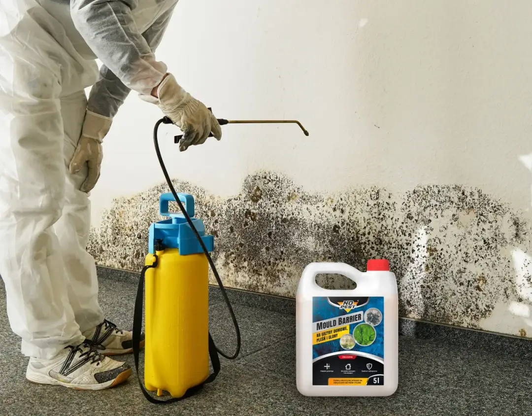 Skuteczne domowe sposoby na usunięcie pleśni z łazienki - 8 metod