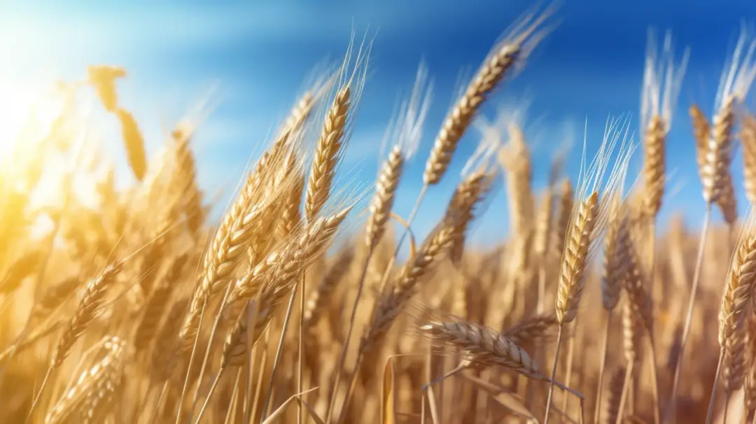 Agricole Trade PL: Analizy i notowania na Agricole Trade - Śledź trendy 