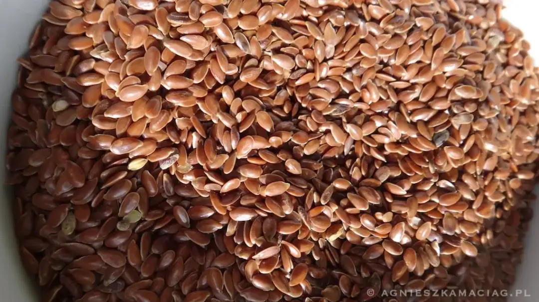Ile kalorii ma siemię lniane: pełny poradnik kontroli kaloryczności