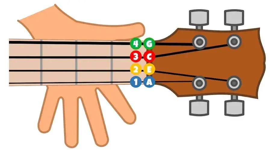 Jakie są struny w ukulele i jak je prawidłowo nastroić?