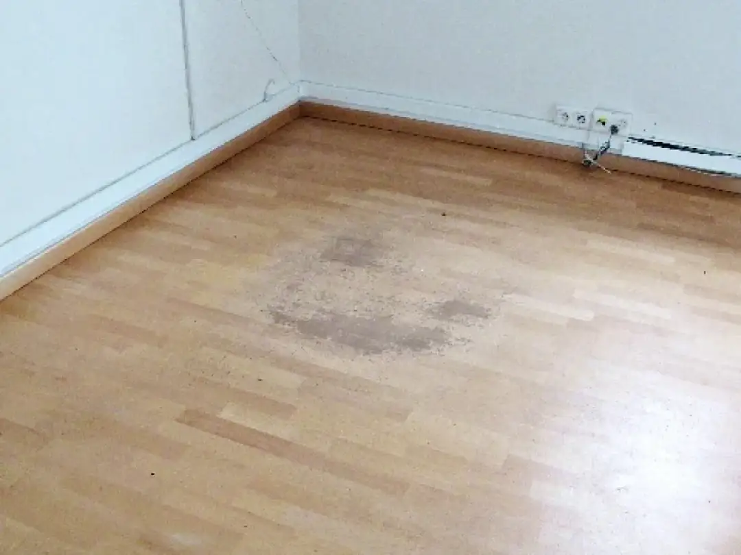 Jak usunąć plamy z paneli podłogowych - skuteczne metody i porady