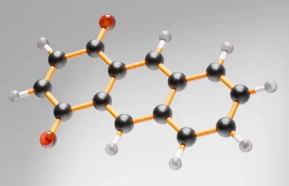 Szachy jako narzędzie rozwoju umysłowego: edukacja i strategia w codziennym życiu