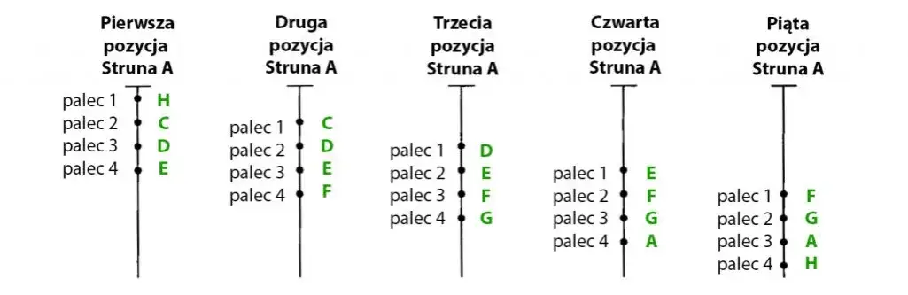 Poznaj wszystkie pozycje na skrzypcach - kompletny przewodnik dla muzyków