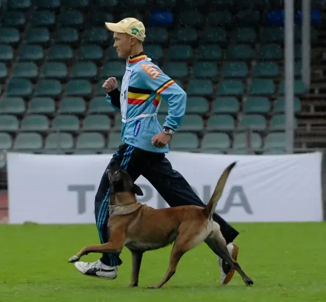 IPO sport: jak zacząć treningi z psem i osiągnąć sukces w zawodach