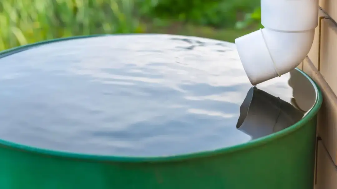 Jak wyczyścić zbiornik na deszczówkę i uniknąć zanieczyszczeń