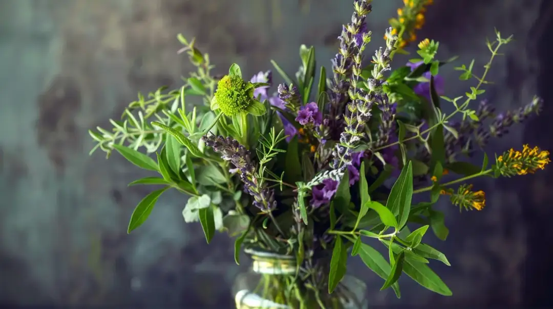 Jak stworzyć piękny i aromatyczny bukiet z ziół? Poradnik DIY