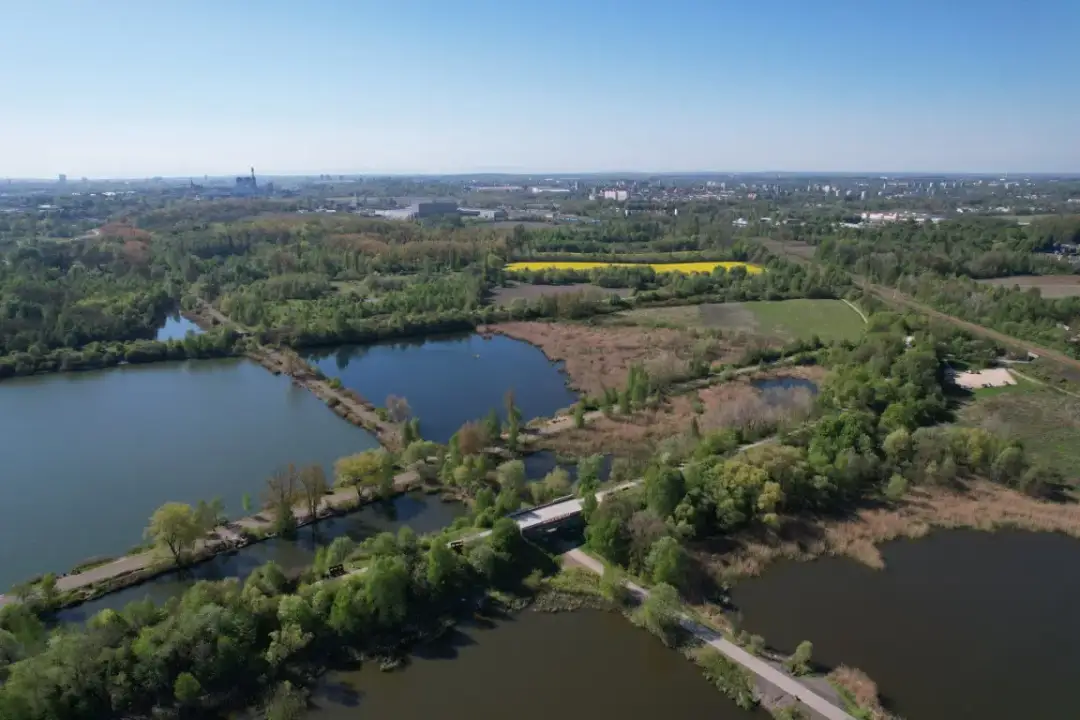 Dlaczego Żabie Doły to raj dla miłośników przyrody? To 6 powodów!