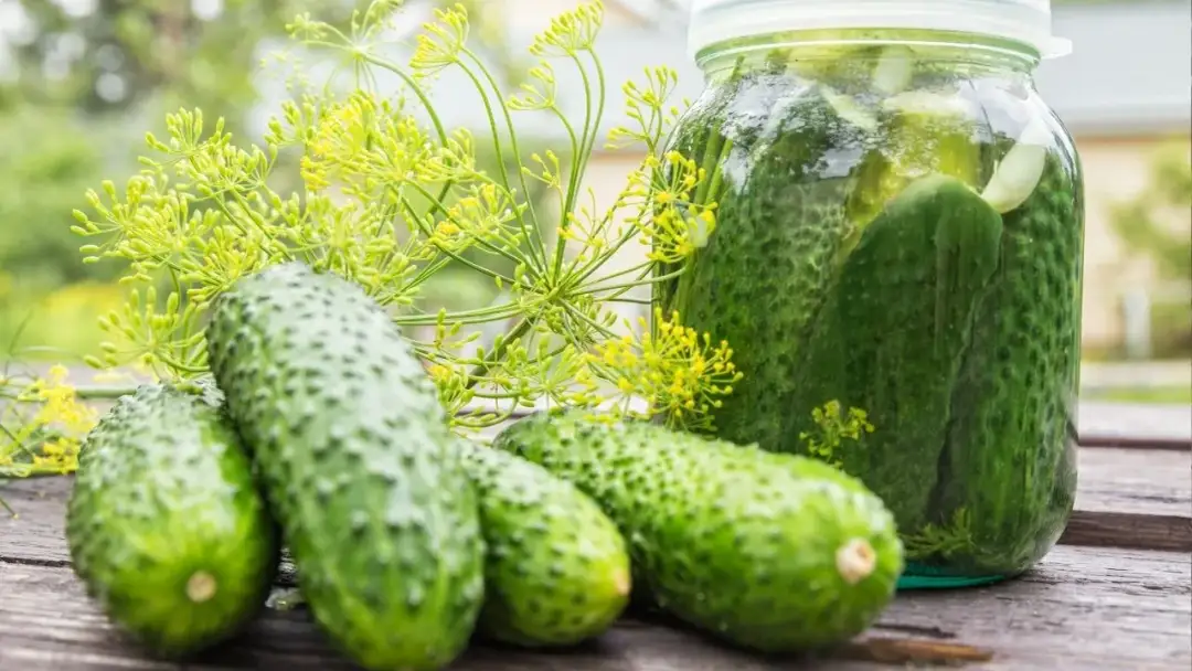 Jak przechować ogórki małosolne: Sprawdzone metody i porady