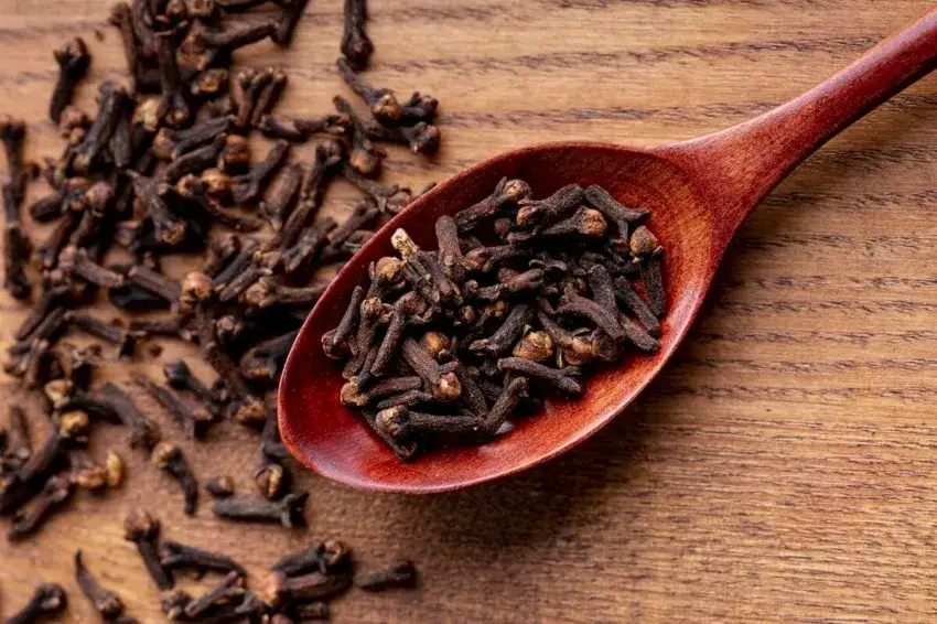 Jak zrobić olejek goździkowy na ból zęba i złagodzić cierpienie