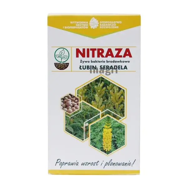 Jaka zaprawa do łubinu? Skuteczne metody ochrony nasion