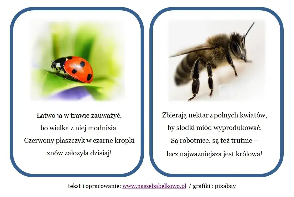 Zagadki o łące: kreatywne sposoby na naukę i zabawę dla dzieci