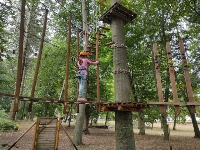 Park Linowy Czaplinek - najlepsze atrakcje i informacje dla odwiedzających