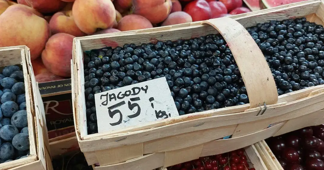 Gdzie na jagody śląskie? Najlepsze miejsca na słodkie owoce w Lesie