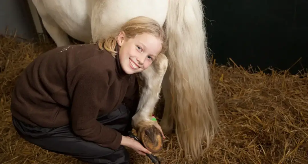 Szkolny klub jeździecki Poland Park – najlepsze miejsce na naukę jazdy konnej