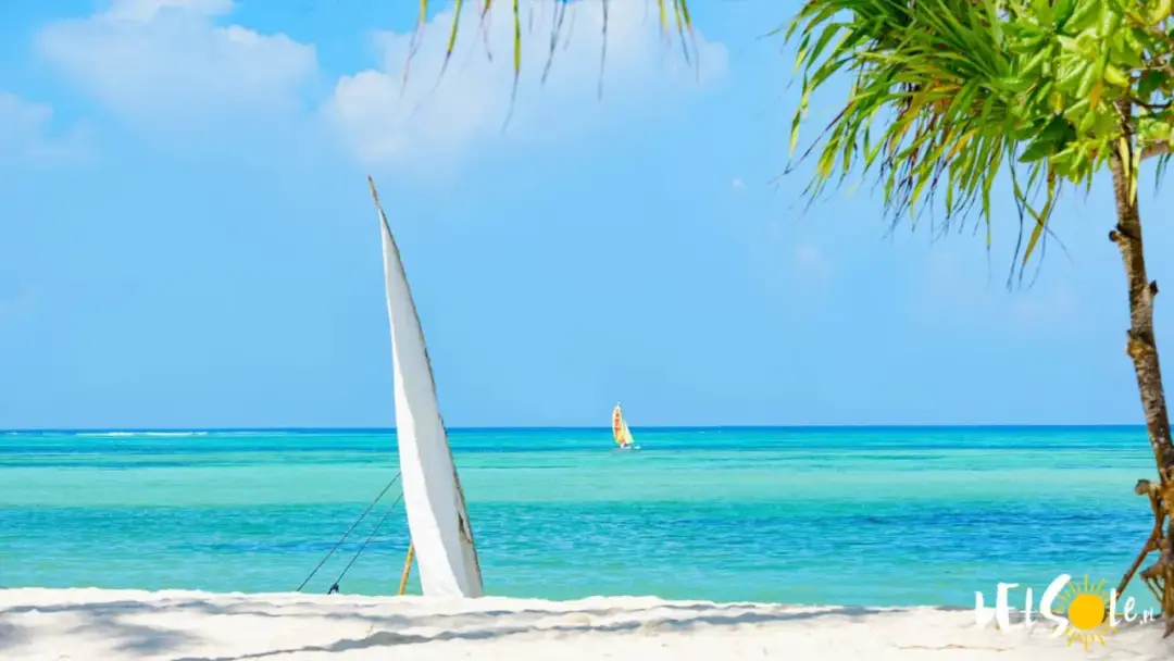 Jaka waluta na Zanzibarze? Sprawdź, czego unikać i co wiedzieć