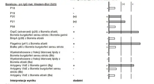 Jakie badania na boreliozę są skuteczne i jak interpretować wyniki?