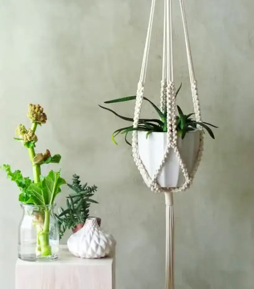 Jak zrobić kwietnik na ścianę: 5 prostych metod DIY krok po kroku